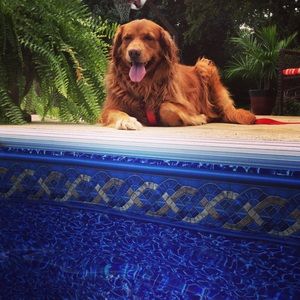 Meet your Posher, Betty ann